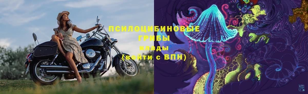 соль ск Дмитровск