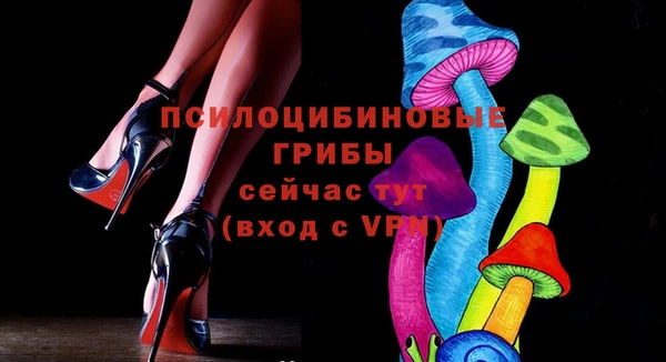 соль ск Дмитровск
