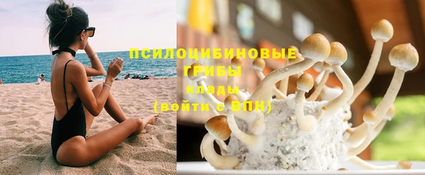 гидропоника Дмитров