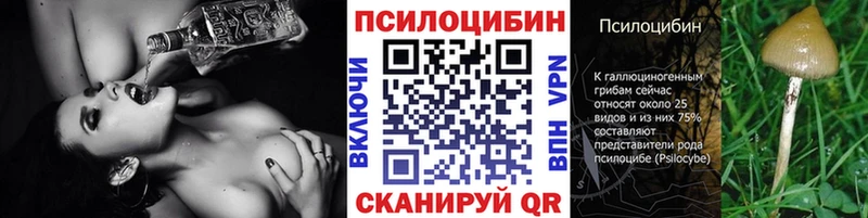 где найти наркотики Подольск Галлюциногенные грибы мицелий